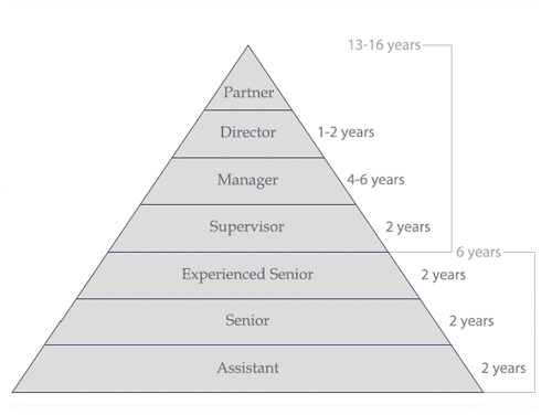 Professional roles