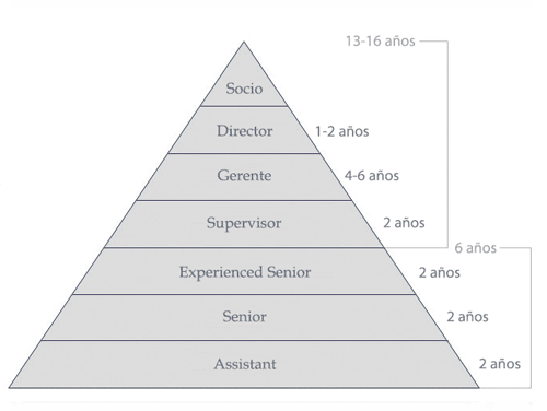 Roles profesionales