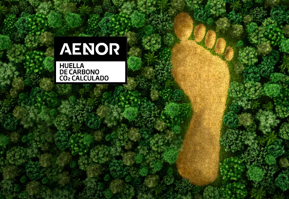 AENOR awards the ISO 14064 carbon footprint certificate to Management Solutions